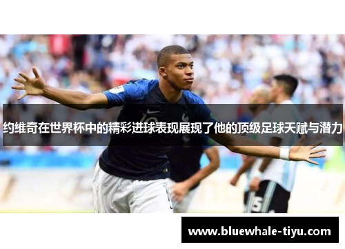 约维奇在世界杯中的精彩进球表现展现了他的顶级足球天赋与潜力