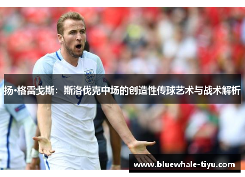 扬·格雷戈斯：斯洛伐克中场的创造性传球艺术与战术解析