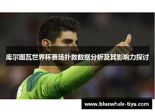 库尔图瓦世界杯赛场扑救数据分析及其影响力探讨