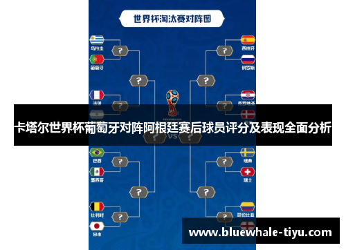 卡塔尔世界杯葡萄牙对阵阿根廷赛后球员评分及表现全面分析