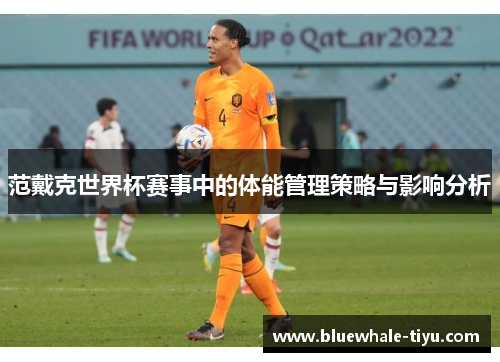 范戴克世界杯赛事中的体能管理策略与影响分析