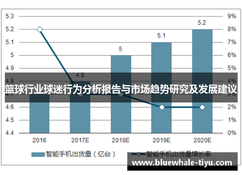 篮球行业球迷行为分析报告与市场趋势研究及发展建议