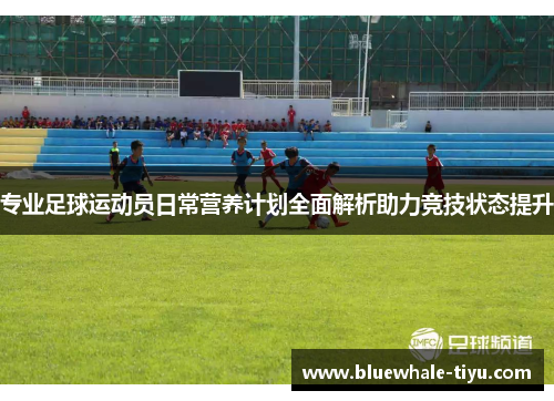 专业足球运动员日常营养计划全面解析助力竞技状态提升