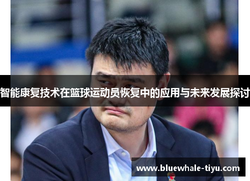 智能康复技术在篮球运动员恢复中的应用与未来发展探讨