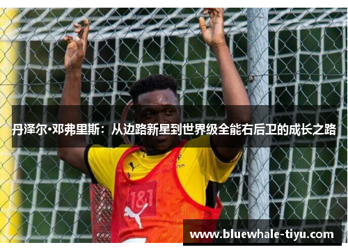 丹泽尔·邓弗里斯：从边路新星到世界级全能右后卫的成长之路