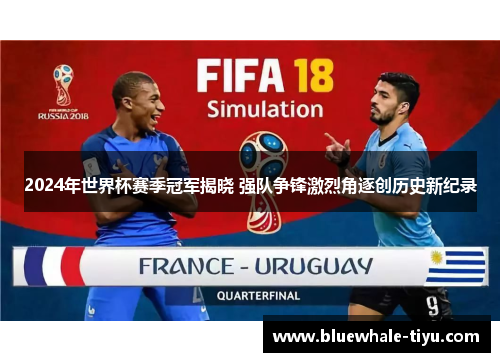 2024年世界杯赛季冠军揭晓 强队争锋激烈角逐创历史新纪录