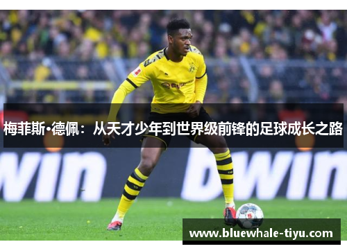 梅菲斯·德佩：从天才少年到世界级前锋的足球成长之路