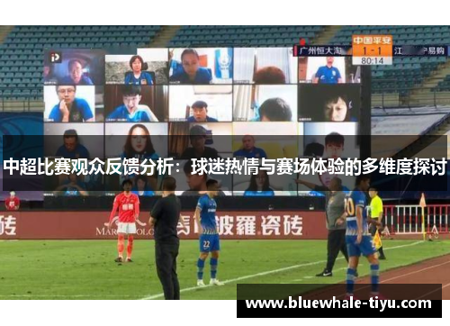 中超比赛观众反馈分析：球迷热情与赛场体验的多维度探讨