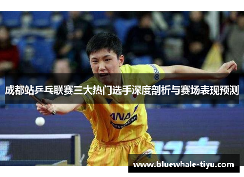 成都站乒乓联赛三大热门选手深度剖析与赛场表现预测