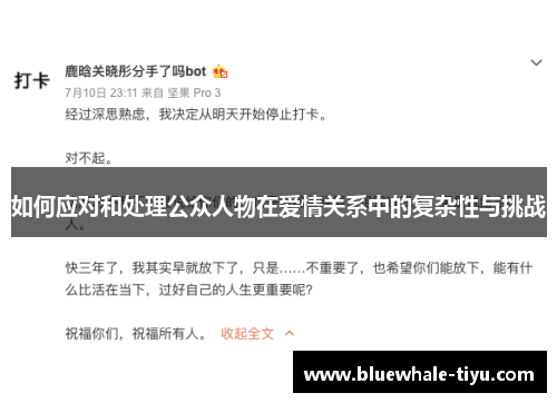 如何应对和处理公众人物在爱情关系中的复杂性与挑战