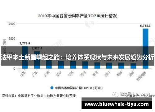 法甲本土新星崛起之路：培养体系现状与未来发展趋势分析