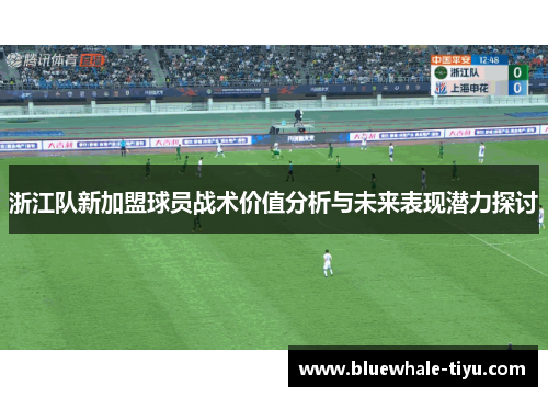 浙江队新加盟球员战术价值分析与未来表现潜力探讨