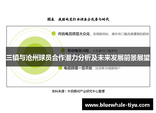 三镇与沧州球员合作潜力分析及未来发展前景展望