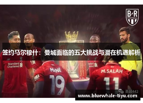 签约马尔穆什：曼城面临的五大挑战与潜在机遇解析