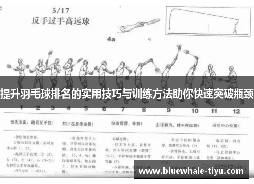 提升羽毛球排名的实用技巧与训练方法助你快速突破瓶颈