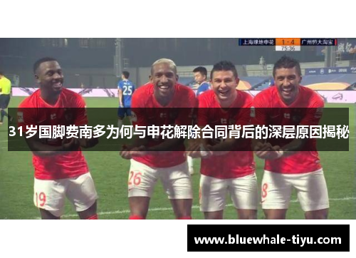 31岁国脚费南多为何与申花解除合同背后的深层原因揭秘