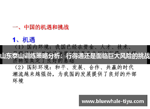 山东泰山训练策略分析：行得通还是面临巨大风险的挑战