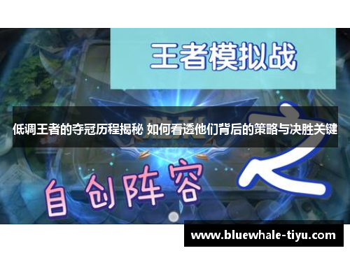 低调王者的夺冠历程揭秘 如何看透他们背后的策略与决胜关键
