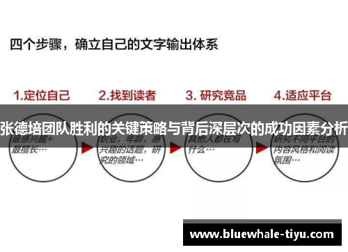 张德培团队胜利的关键策略与背后深层次的成功因素分析
