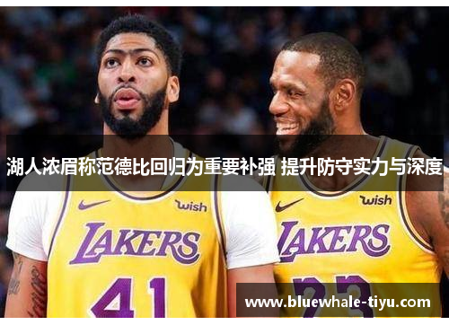 湖人浓眉称范德比回归为重要补强 提升防守实力与深度