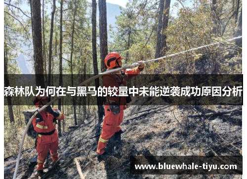 森林队为何在与黑马的较量中未能逆袭成功原因分析