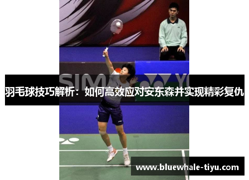 羽毛球技巧解析：如何高效应对安东森并实现精彩复仇