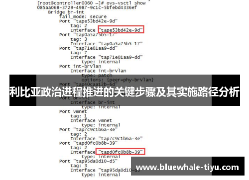 利比亚政治进程推进的关键步骤及其实施路径分析