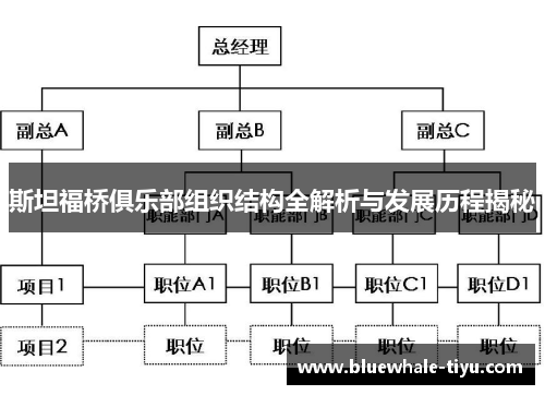 斯坦福桥俱乐部组织结构全解析与发展历程揭秘