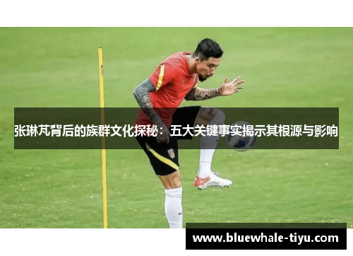 张琳芃背后的族群文化探秘：五大关键事实揭示其根源与影响