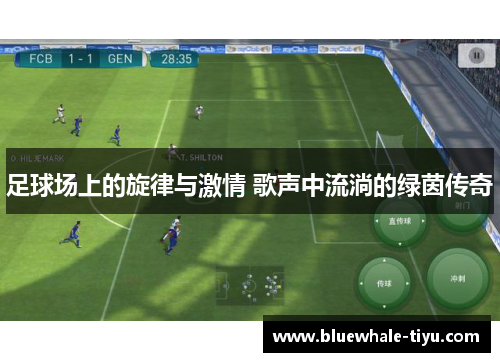 足球场上的旋律与激情 歌声中流淌的绿茵传奇