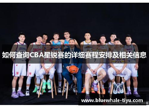 如何查询CBA星锐赛的详细赛程安排及相关信息