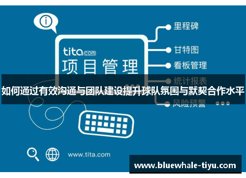 如何通过有效沟通与团队建设提升球队氛围与默契合作水平